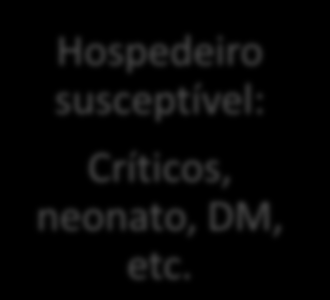 Cadeia epidemiológica das IRAS Hospedeiro susceptível: Críticos, neonato, DM, etc. Agente etiológico: Bactérias, fungos, etc.