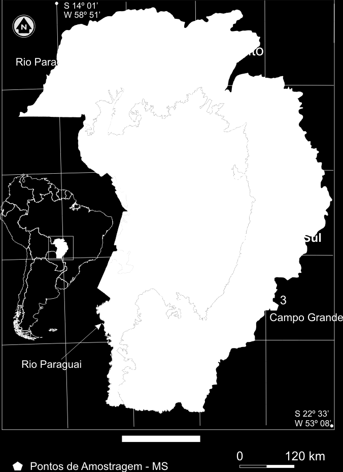 Figura 1 Bacia do Alto Paraguai, onde estão demarcados a planície do Pantanal, o Planalto, o rio Paraguai e a drenagem principal nos Estados de Mato Grosso e Mato Grosso do Sul (Brasil).