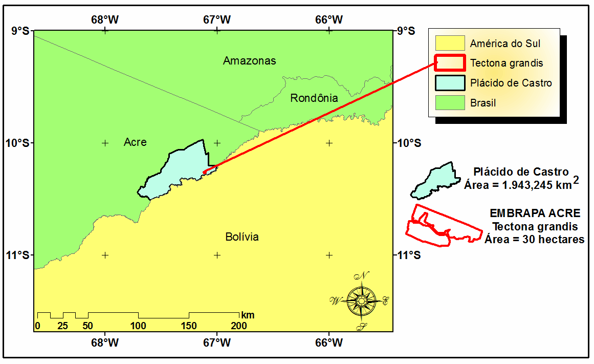 Baseado no exposto, este trabalho tem como objetvos prncpas: analsar espacal e temporalmente as áreas plantadas pela Embrapa Acre da Tectona grands L. f.