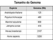 Biologia Avançada Jatropha curcas L.