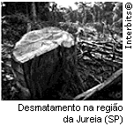 diretamente para a intensificação desses fatores ambientais que determinam a mortalidade dos ovos e embriões.