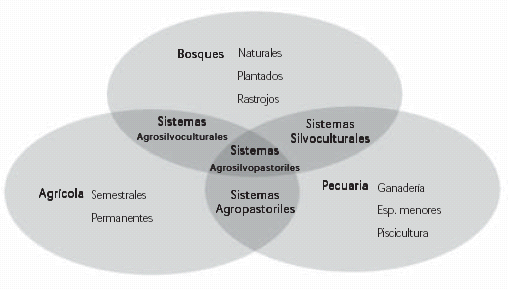 Classificação dos Sistemas Agroflorestais Árvore Plantada Natural Cultivo Sistemas AgroSilviculturais Anual Semi-perene Perene