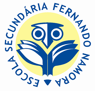 ESCOLA SECUNDÁRIA FERNANDO NAMORA ANO LECTIVO 2008/2009 PLANO