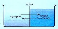 (TRANSPORTE PASSIVO) A FAVOR DO GRADIENTE