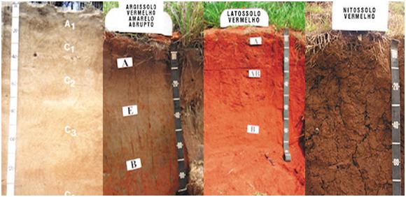 b) material rochoso em processo de intemperismo, sem presença de matéria orgânica.