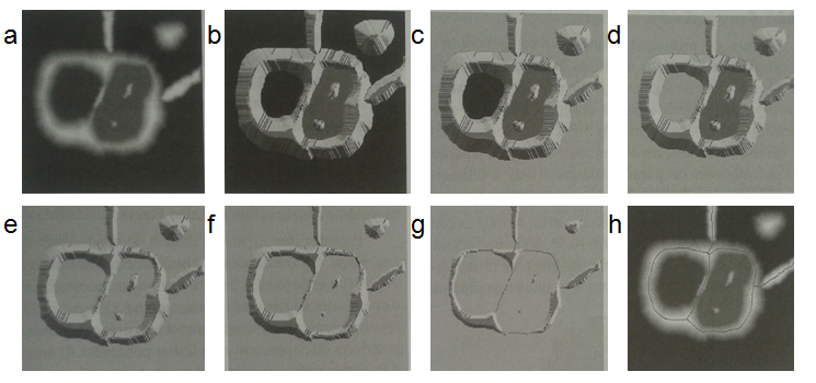 CAPÍTULO 3. MINERAÇÃO E PROCESSAMENTO DE IMAGENS 69 Figura 3.