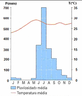 29 - Caracteriza-se pelo pequeno índice de pluviosidade, abaixo de 250 mm anuais, e pela sua irregularidade.