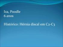 Classificação da Lesão Cervical A: Hiperpatia B: Hiperpatia e Ataxia C: Tetraparesia Classificação da Lesão Tóraco-Lombar Paciente Ambulante Paciente Não Ambulante Dor Tóracolombar sem alterações