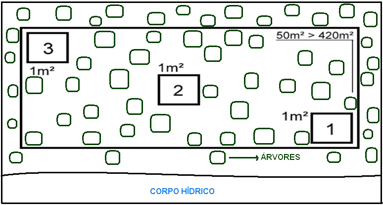 28 árvores de mangue, adaptando a metodologia proposta por Cintron-Molero e Schaeffer-Novelli (1983) e Schaeffer-Novelli e Cintron-Molero (1986).