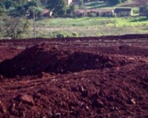 TERRA ROXA Terra roxa é um tipo de solo vermelho muito fértil, caracterizado por ser o resultado de milhões de anos de decomposição de rochas basálticas.