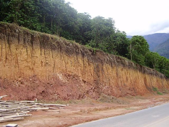 Latossolo São solos muito profundos (maior que 2 m), bem desenvolvidos, localizados em