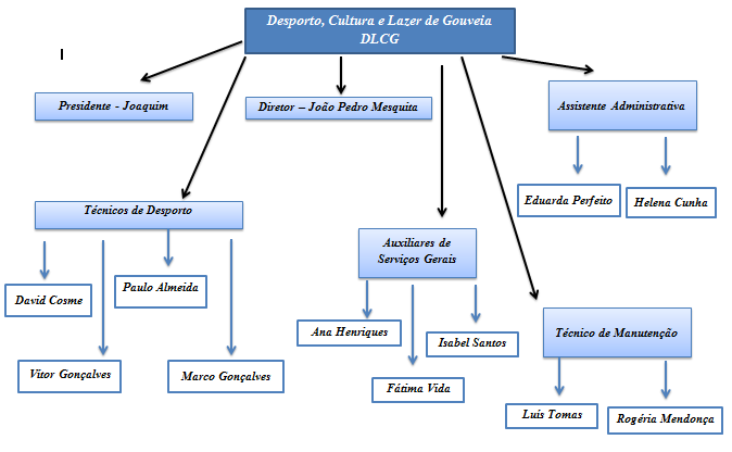 4. Organograma De seguida, será exposto o organograma da DLCG e sua estrutura e distribuição hierárquica: Presidente: Doutor Joaquim Morgado Diretor: Doutor