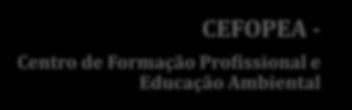 CEFOPEA - Centro de Formação Profissional e Educação Ambiental Av. Ariston de Azevedo, 10 Belém São Paulo/SP CEP 03021-030 / Fone: (11) 4661.1056 admcefopea@reciclazaro.org.