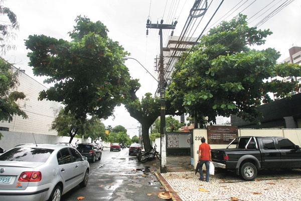 28 Figura 7: Poda sob rede de distribuição de energia convencional. Fonte [16].