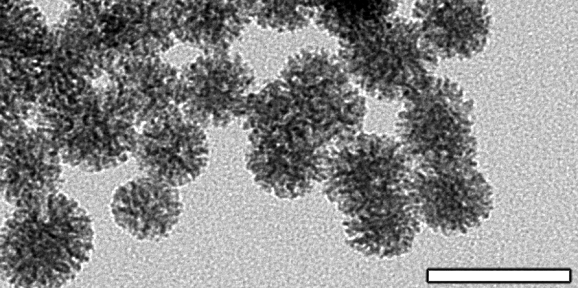 Nanopartículas porosas de SiO2 multifuncionalizadas: carreadores de