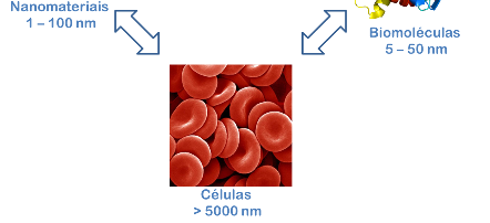 NanoBioss Interação com