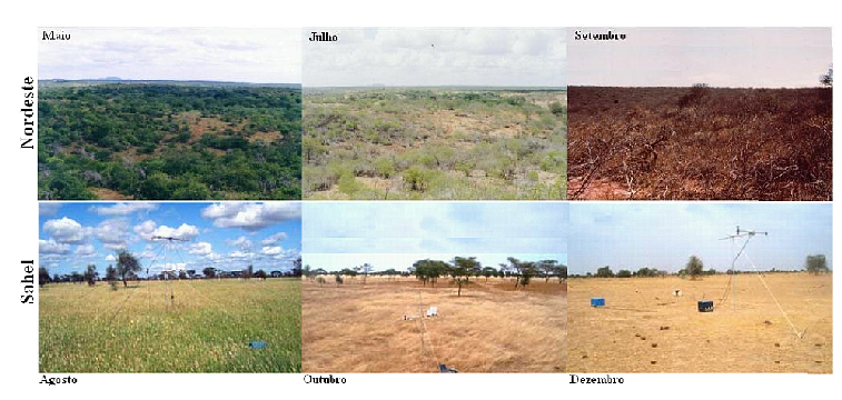 Figura 1. A dinâmica sazonal das fisionomias de Caatinga Brasileira e Savana Africana estão diretamente ligadas às condições climáticas déficit hídrico.