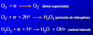 Oxigênio Componente universal das