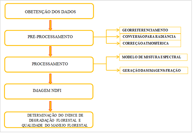 fotossintética) e posterior extração de informações destas imagens.