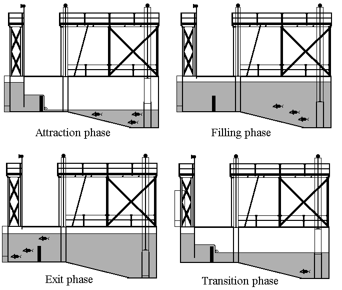 28 Figura 23: Sequência da movimentação na eclusa. Fonte: Baumgartner, 2003 4.