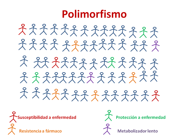 apresentação dos sintomas e evolução clínica diferentes. O desenvolvimento de uma doença é influenciado por fatores internos e externos.