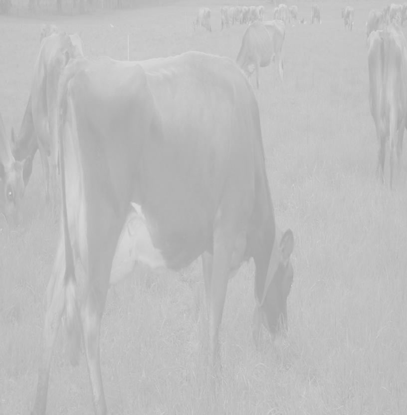 Proporções das caseínas e proteínas do leite de vacas Jersey VARIÁVEIS