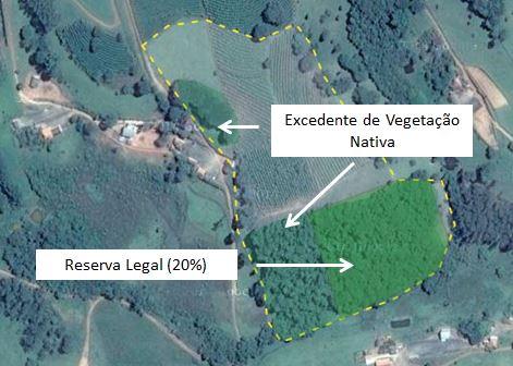 2.1.4 Reserva legal em propriedades menores que 4 módulos fiscais Nos imóveis rurais que detinham em 22 de julho de 2008 área de até quatro módulos fiscais, e que possuíam remanescente de vegetação