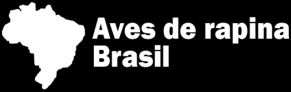 que são raramente vistas devido a distribuição mais restrita (ex. Micrastur buckleyi, Megascops guatemalae).