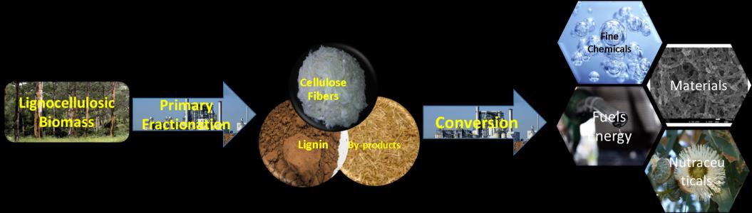 Biorrefinaria Caracterização de componentes macromoleculares e de baixo peso molecular da biomassa e resíduos agroflorestais