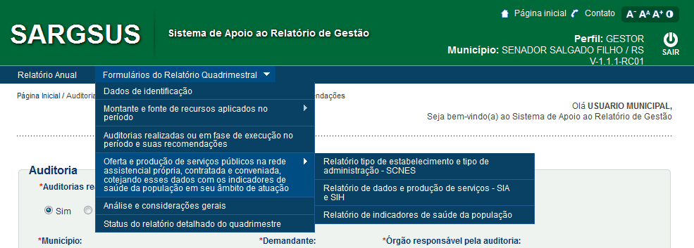 18 demandante; o responsável; o número; a finalidade; o status; a unidade auditada; e o pertencimento ao sistema Sisaud/SUS, são informações requeridas e relativas à auditoria que se pretenda