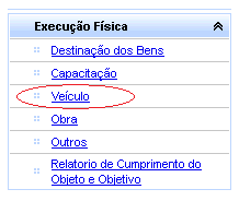 EXECUÇÃO FÍSICA Veículo Caso muito típico em relação à execução física é o dos veículos para transporte escolar.