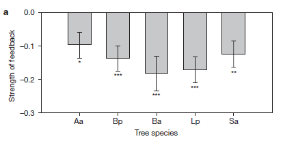 COEXISTÊNCIA DE ESPÉCIES TROPICAIS E HIPÓTESE DE JANZEN/CONNELL Janzen, D.H. 1970. Herbivores and the number of tree species in tropical forests.