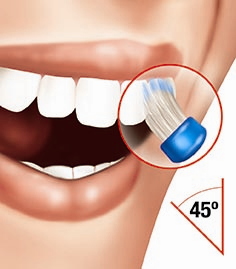 7- Escovar, com a escova dental sempre embebida com a solução de Clorexidina 0,12%, os hemi-arcos dentários do lado direito na seqüência abaixo, iniciando pelos dentes posteriores e indo em direção