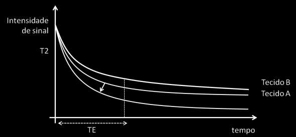 Cancelamento de fase água/gordura Efeito da Temperatura Devido às diferenças nas frequências de ressonância entre a água e a gordura já referidas, no tempo em que o eco é recebido numa sequência