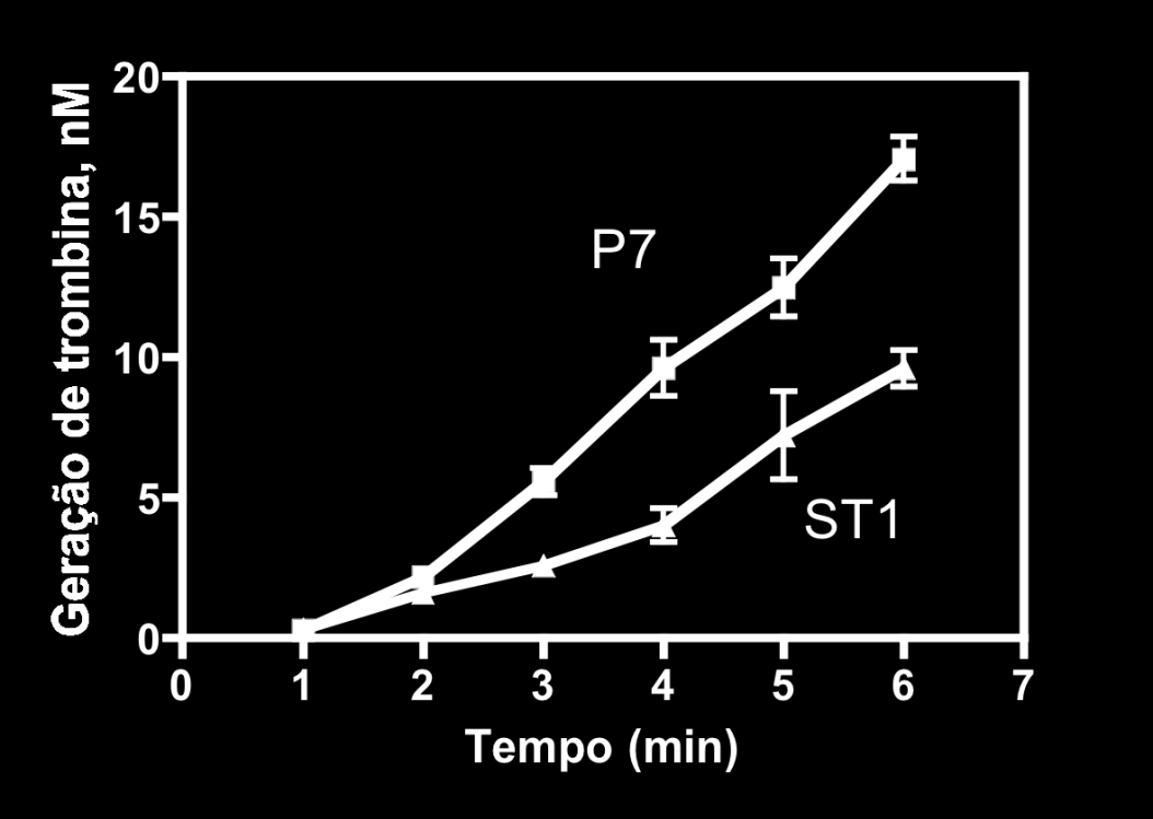 Figura 18 As células de glioblastoma P7 e ST1 promovem a formação de trombina através do complexo protrombinase.