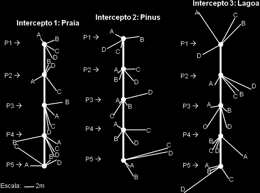 Distância das plantas Guapira opposita ao intercepto 10 9 8 7 Distância (m) 6 5 4 3 2 1 Praia Pinus Lagoa Área Mean Mean±SE Mean±SD Figura 3 - Média, erro e desvio padrão das distâncias das plantas