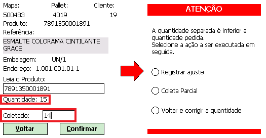 Após a seleção, é exibida uma tela, como na imagem 44, para que seja informado o número do palete a ser montado.