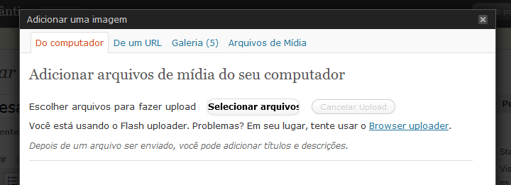 Ao clicar no botão para inserir uma foto/imagem, irá abrir uma janela. Clique em Selecionar arquivos selecione a foto de sua escolha. Após selecionar a foto, ela será enviada para o site.