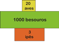 As teias alimentares, em comparação com as cadeias, apresentam situações mais perto da realidade, onde cada espécie se alimenta em vários níveis hierárquicos diferentes, originando uma complexa teia