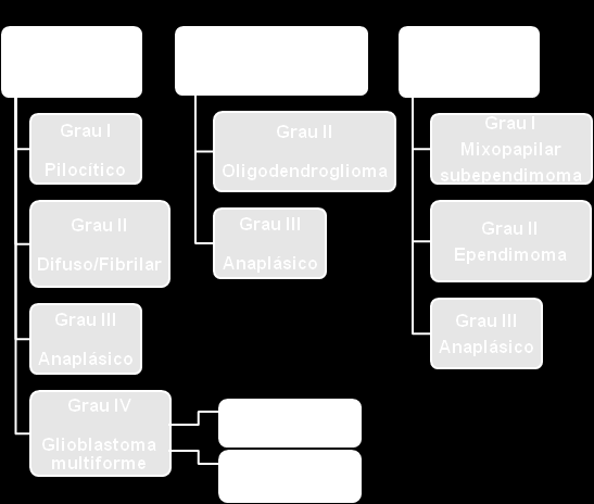 19 Figura 2: Células de origem, tipos e subtipos de gliomas com sua respectiva classificação da OMS. 1.1.3.