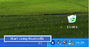 Concluída a instalação do software, conecte o módulo Bluetooth à entrada USB do micro e clique no ícone do