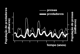 Considere as afirmações a seguir, relacionadas à interação predador-presa ilustrada anteriormente. I - O número de presas é maior do que o número de predadores, fato comum nas cadeias alimentares.