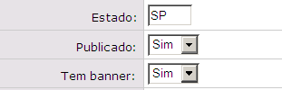 Quando você clica em avançar, você tem acesso ao cadastro de um anúncio no guia, que deverá ser preenchido com as informações da empresa que você quer anunciar.