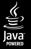 Competências Funcionais JAVA Segurança App Server Middleware e Integração Workflow Base de Dados CRM DW Monitorização e Tuning SLA Ferramentas Conteúdos BMC, Safe Layer IBM Websphere, Oracle IAS, BEA