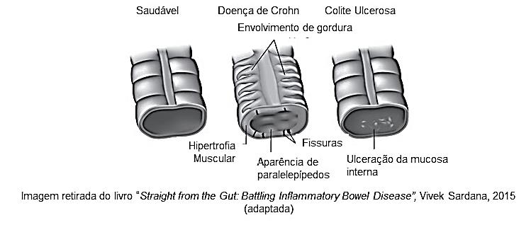 Figura 2.