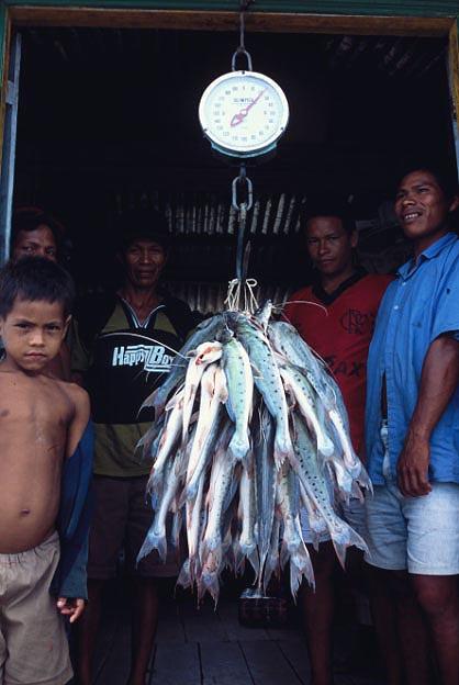 Mudanças de Pequena Escala