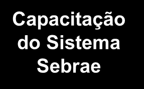 Publicações Matérias na mídia Eventos SEBRAE Sensibilização Orientação Estratégia de atuação do Sebrae no apoio às IG Desenvolvi mento de Soluções Capacitação do Sistema Sebrae Resultados SEBRAE UF