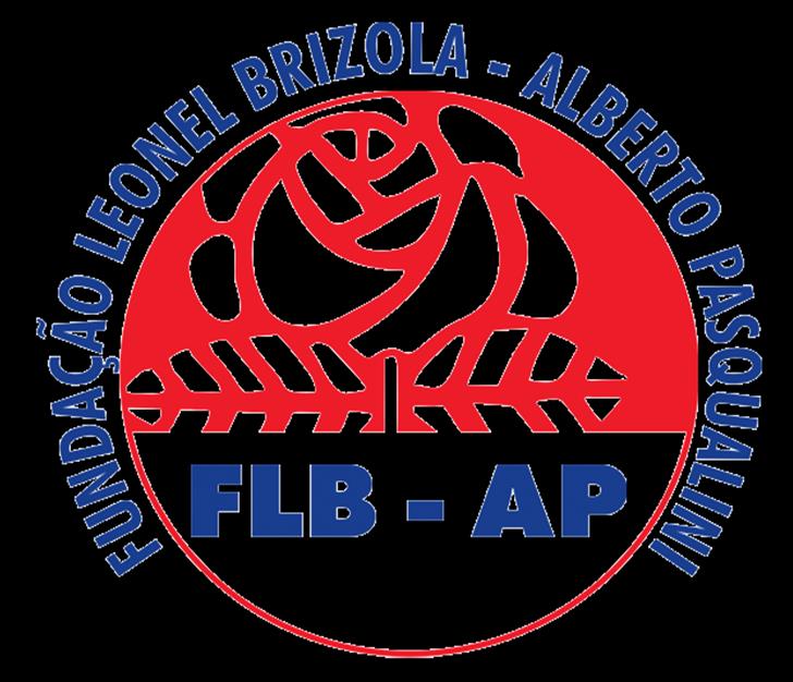 2016 Fundação Leonel Brizola Alberto Pasqualini (FLB-AP) Equipe de trabalho DIRECIONADORES ESTRATÉGICOS E PLANO DE AÇÃO DA FLB-AP Proposta de direcionadores estratégicos e plano de ação para