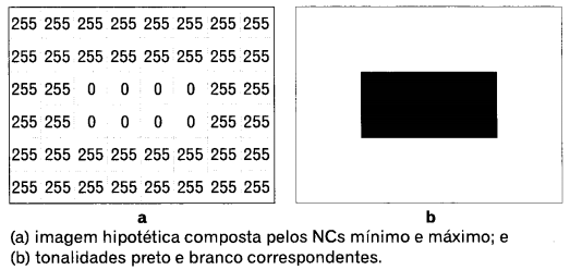 36 Figura 8: Representação da grade regular da imagem digital e os valores dos números digitais em cada pixel. Fonte: IBGE, 2001.