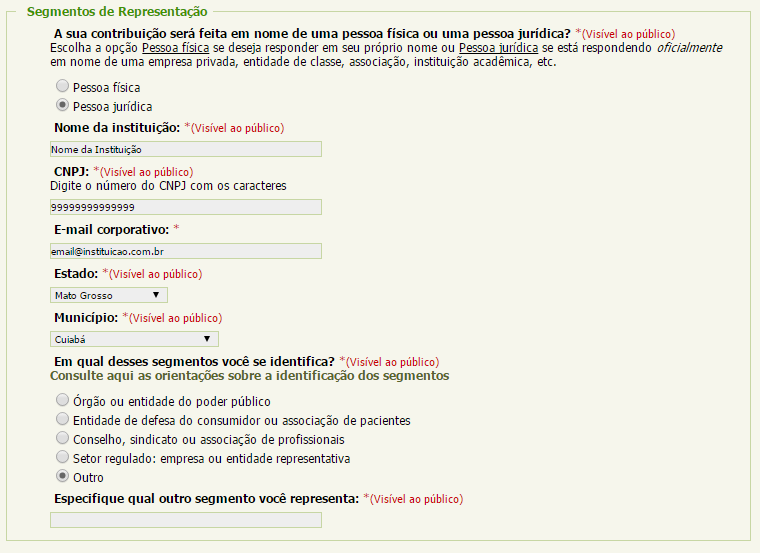 2.2- Pessoa Jurídica Caso opte por preencher o formulário como pessoa jurídica, será preciso informar o nome da empresa/organização que representa, bem como o CNPJ respectivo, e-mail corporativo,